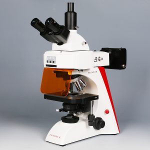 Fluorescence Microscopes